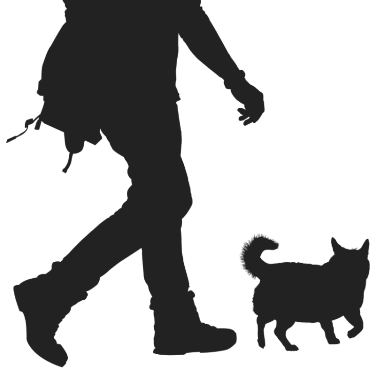 Illustration man with dog in park vector