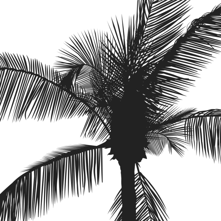 Palm