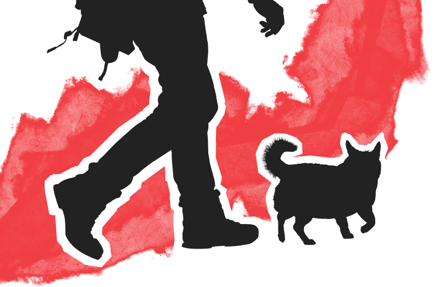 Illustration man with dog walking vector